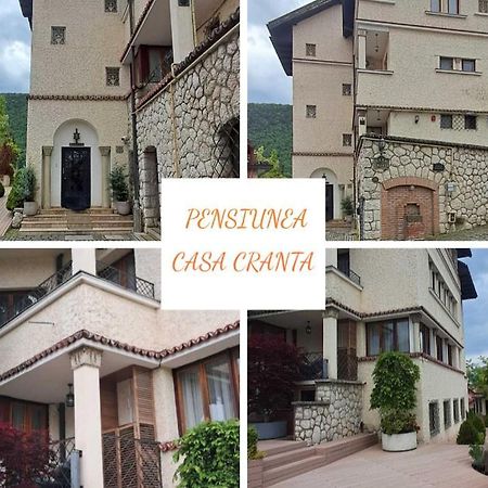 Pensiunea Casa Cranta Brassó Kültér fotó